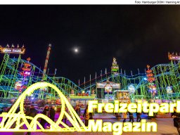Fotos des Hamburger Winterdoms 2024