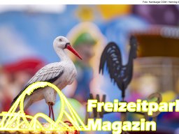 Fotos vom Hamburger Sommerdom 2025